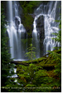 Proxy Falls Stock Image, Oregon