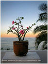 Pacific View Stock Image, Mexico