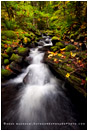 Starvation Creek Print, Oregon