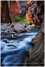 Virgin River Narrows 2 Stock Image, Zion National Park