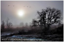 Emigrant Dawn Print, Ashland, Oregon