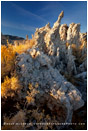 Mono Lake 9 Stock Image, California