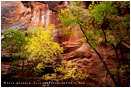 Virgin River Narrows 5 Stock Image, Zion National Park
