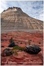 Checkerboard Mesa 1 Stock Image, Zion National Park