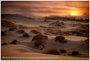 Oregon Dunes 7 Stock Image, Oregon