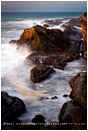 Shore Acres State Park 3 Stock Image, Oregon