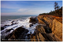 Shore Acres State Park 4 Stock Image, Oregon