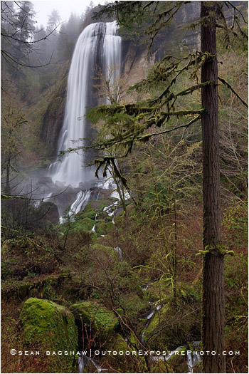 Silver Falls Stock Image, Oregon