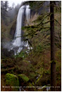 Silver Falls Stock Image, Oregon
