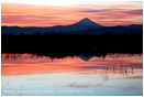 Mt. McLoughlin Stock Image, Oregon