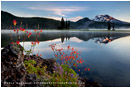 Columbine and South Sister Stock Image, Bend, Oregon