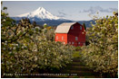Hood River Valley Barn 2 Stock Image, Oregon