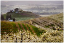 Hood River Valley Farmland 4 Stock Image, Oregon