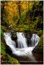 Gorton Falls, Columbia Gorge, Oregon