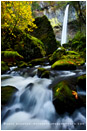 Autumn At Elowah, Columbia Gorge, Oregon