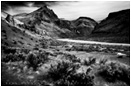 Owyhee Sage Stock Image, Owyhee River, Oregon