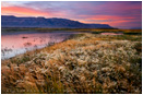 Hart Land Stock Image, Warner Valley, Oregon