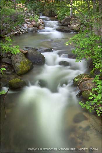 Ashland Creek Stock Image, Lithia Park, Ashland, Oregon
