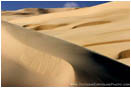 Rights Managed Stock Photo: Oregon Dunes I