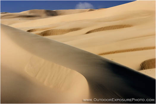 Print: Oregon Dunes I