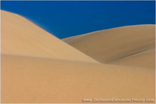 Royalty Free Stock Photo: Oregon Dunes II