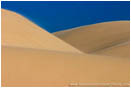 Royalty Free Stock Photo: Oregon Dunes II
