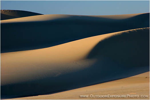 Rights Managed Stock Photo: Oregon Dunes IV
