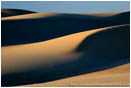 Rights Managed Stock Photo: Oregon Dunes IV