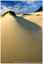 Print: Oregon Dunes V