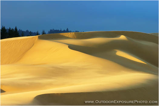 Rights Managed Stock Photo: Oregon Dunes VI