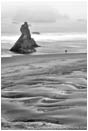 Royalty Free Stock Photo: Alone On The Beach