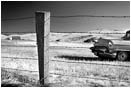 Rights Managed Stock Photo: Out To Pasture