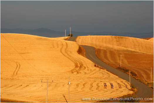 Royalty Free Stock Photo: After The Harvest I