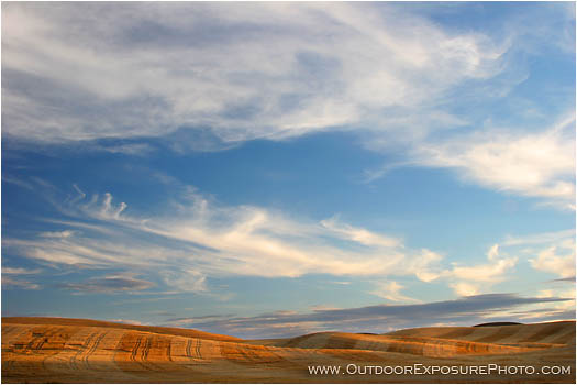 Print: Wheat Fields and Sky