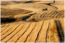 Print: After The Harvest II