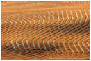 Rights Managed Stock Photo: After The Harvest III
