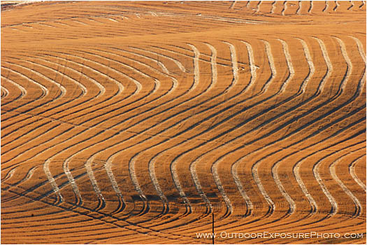 Print: After The Harvest III