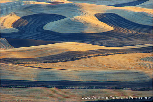 Royalty Free Stock Photo: Palouse Crop Pattern I