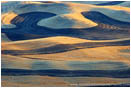 Royalty Free Stock Photo: Palouse Crop Pattern I
