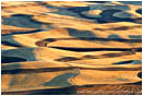 Print: Palouse Crop Pattern II