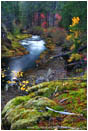 Royalty Free Stock Photo: Takelma Gorge Fall I