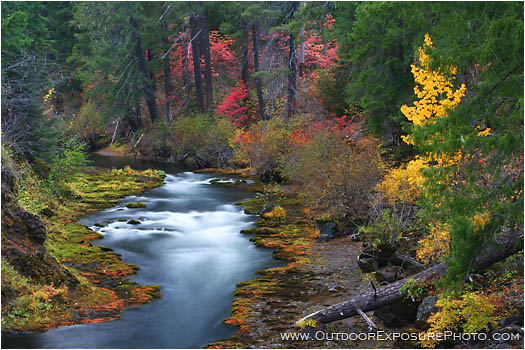 Print: Takelma Gorge Fall II