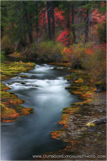 Royalty Free Stock Photo: Takelma Gorge Fall III