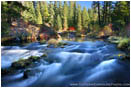 Royalty Free Stock Photo: Upper Rogue Above Natural Bridge