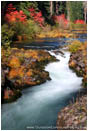 Print: Upper Rogue In Fall