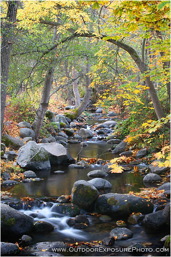 Rights Managed Stock Photo: Ashland Creek In Fall