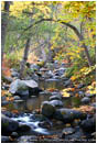 Print: Ashland Creek In Fall