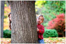 Royalty Free Stock Image: Found