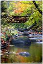Print: Ashland Creek In Fall II