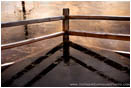 Submerged Fence Print Hyatt Lake, Ashland, Oregon